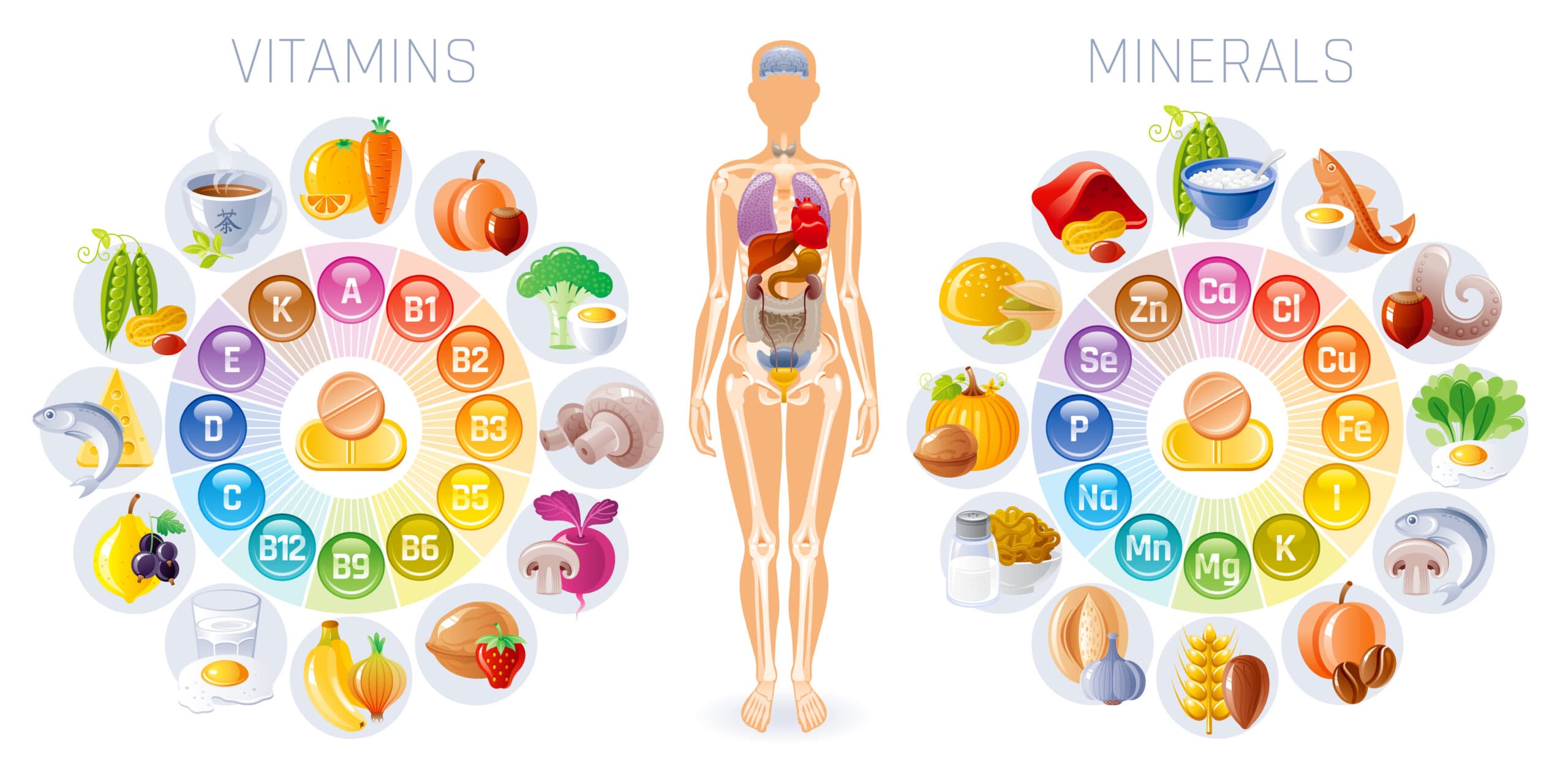 Guide to Micronutrient RDAs Across All Ages