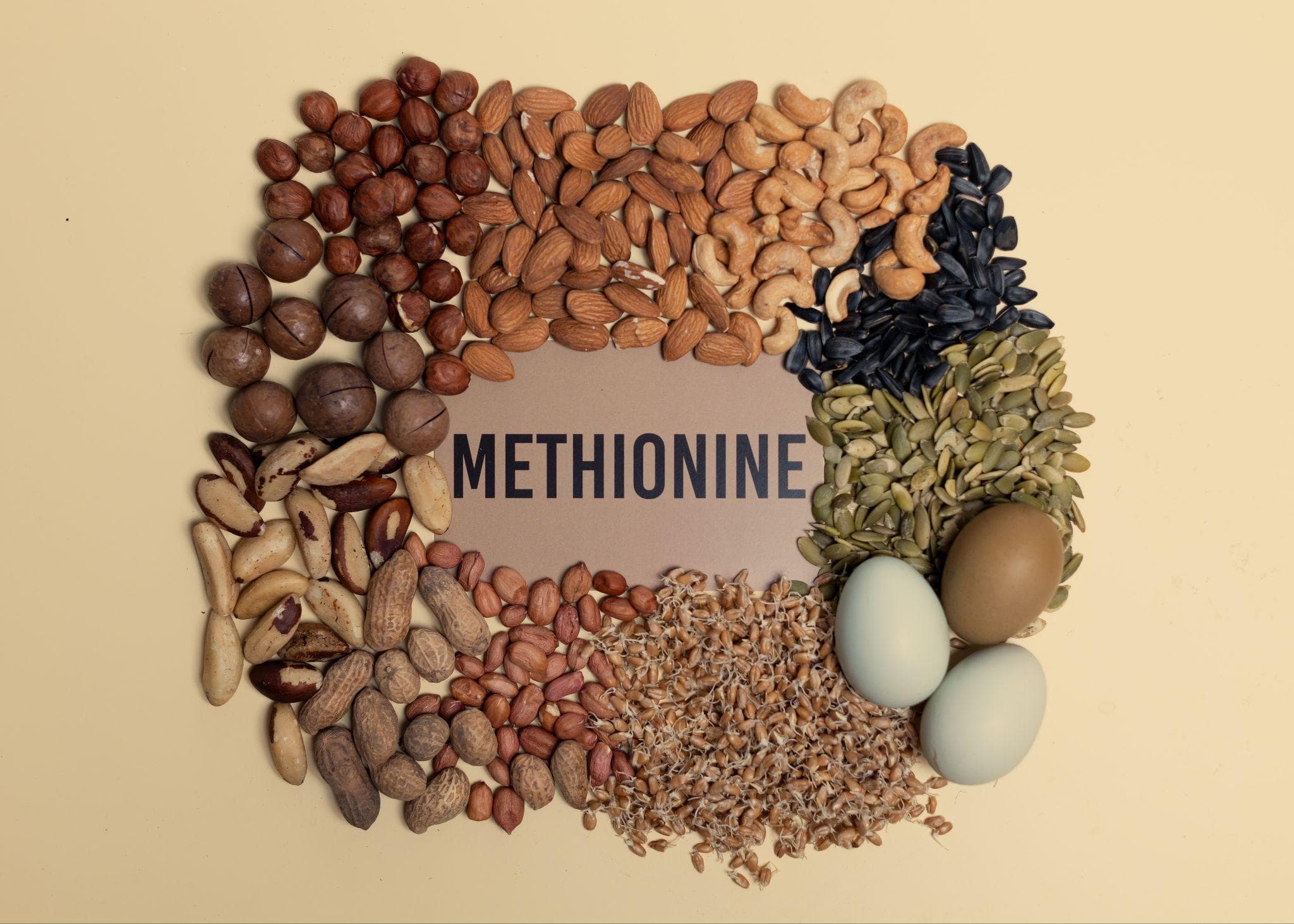 Methionine Matters: The Critical Role of an Essential Amino Acid